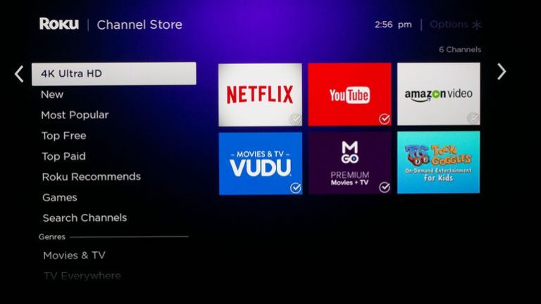 Roku CEO plays down Apple, Amazon threat as it gears up for $1.3 billion IPO