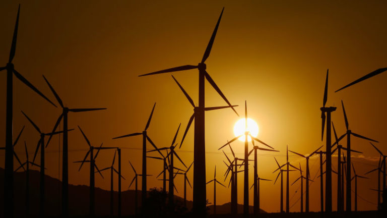 Wind Farms May Actually Warm the US, Controversial Study Finds