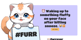 Bitcoin Rises Post-Halving, Ethereum Faces a 5% Volume Dip at $3,000, and Furrever Token Achieves $1M Presale Milestone