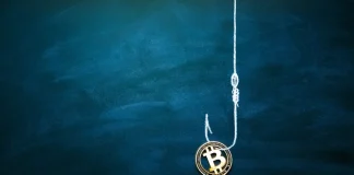 Why Bitcoin, Ethereum, and Bonk Plunged Today