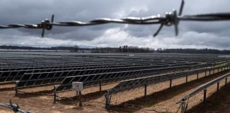 As solar capacity grows, some of America’s most productive farmland is at risk