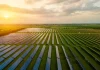 Avangrid just broke ground on its first solar farm in California