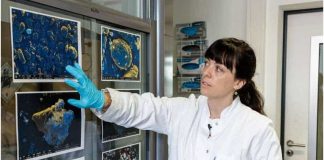 Keeping power in the cycle: Tests confirm quality of purified graphite from used lithium-ion batteries