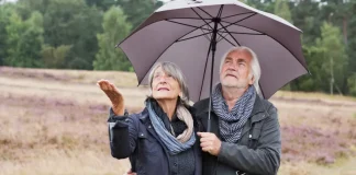 Just 4% of current retirees say they are ‘living the dream,’ survey finds. Here’s why