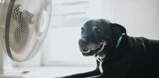 Save Money on Your AC Bill During Heat Waves This Summer