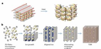 A new thermal regulator could enhance the safety of high-capacity lithium-ion batteries