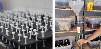 Bacterial batteries that harvest energy from soil