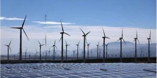 ‘Not a lab experiment’: climate tech CEO on green innovation