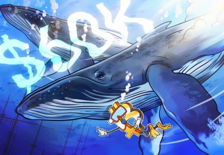 Bitcoin whale support includes mid-$60K zone in new BTC price warning