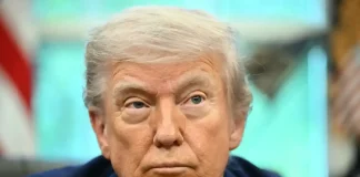 ‘Trump always chickens out’: U.S. delays E.U. tariffs, reinforcing ‘TACO’ trade theory