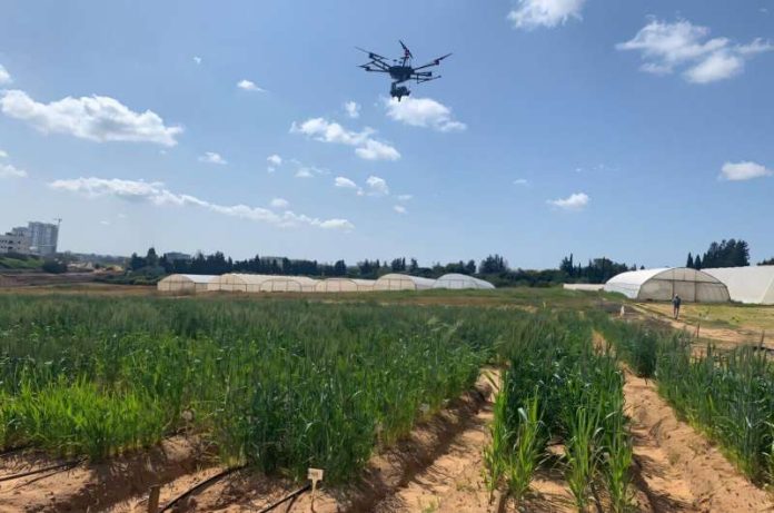 drones-and-genetics-te