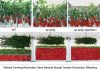 Editing Green Revolution genes to boost tomato production efficiency for vertical farming