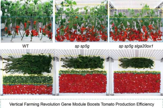 researchers-edit-green