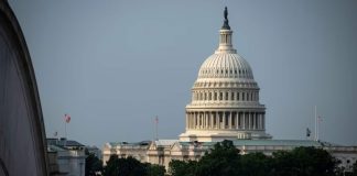 The days around Trump’s trade war announcements saw spikes in lawmaker stock market transactions