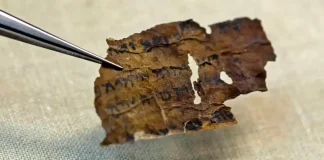 AI analysis of ancient handwriting gives new age estimates for Dead Sea Scrolls