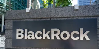 This Is the ‘Best Investment Environment Ever’, Says BlackRock’s CIO of Global Fixed Income