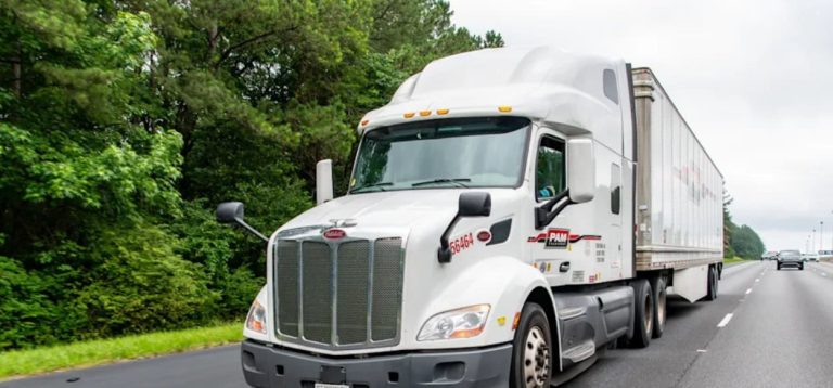 Beleaguered TL carrier Pamt Corp. names new CEO