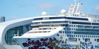 Cruise line stocks are on the rebound this year. Here’s why.