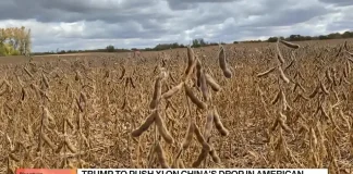 Bessent Sees China Progress as Soy Fight Echoes Rare-Earth Spat