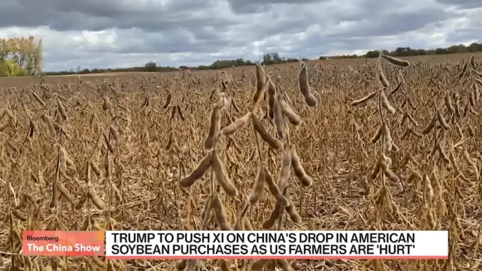 2fd5e07ff48124d13f97b21ccd2e4fb9