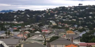 Analysis-NZ’s housing funk sows doubts on reliable investment strategy, drags on economy