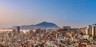 SoftBank rises 6% as Japanese tech stocks track gains in U.S. peers