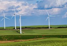 Green Stocks Are Big Winners as Tech Boom Drives Energy Demand