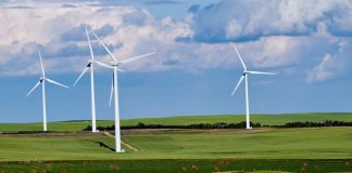 Green Stocks Are Big Winners as Tech Boom Drives Energy Demand