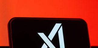 Apollo Said to Net $250 Million in Paper Profits on xAI Debt