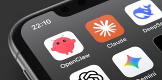 Here’s who is spending money on AI subscriptions, and how much they cost