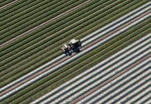 Why the Iran war might not raise your grocery bill until next year