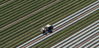 Why the Iran war might not raise your grocery bill until next year