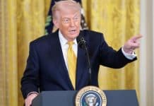 Trump wants Fort Knox ‘physically audited’ after stunning $40M arrest — here’s why so many are after the yellow metal